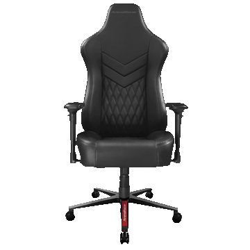 Inland Executive Ergonomic Chair